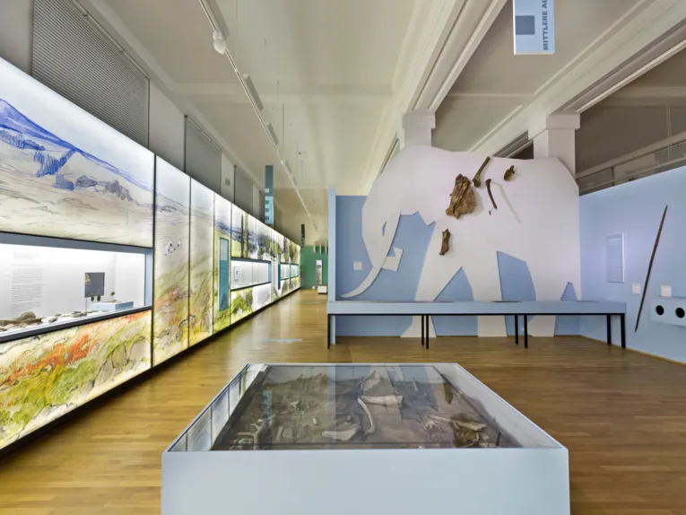 Landesmuseum Hannover Steinzeit